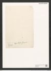 Campylodiscus latus var. upolensis Grun. (de-Toni-Nr.: Genus 57, Species 2460) Zeichnungen Sammlung Grunow (NHMW-BOT-W0373182)